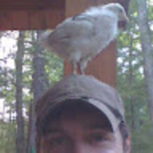 Meet your Posher, Nickolas